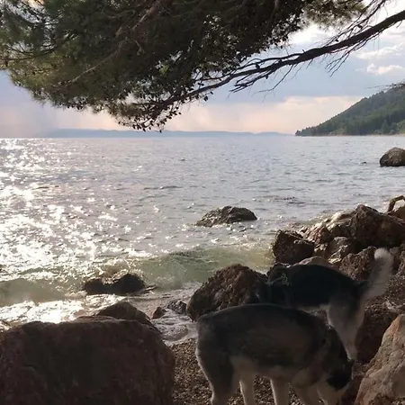 Sea View * إيغراني